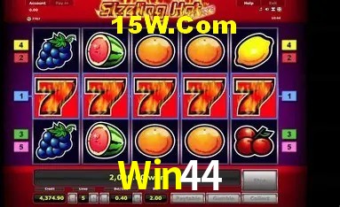 Win44 Salvador - Statistics